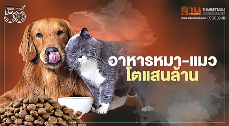อาหารหมา-แมวโตแสนล้าน อาหารหมา-แมวโตแสนล้าน