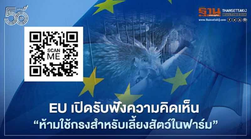 EU เปิดรับฟังความคิดเห็น “ห้ามใช้กรงสำหรับเลี้ยงสัตว์ในฟาร์ม” EU เปิดรับฟังความคิดเห็น “ห้ามใช้กรงสำหรับเลี้ยงสัตว์ในฟาร์ม”