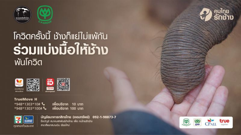 'เครือซีพี' ช่วยช้าง-ควาญช้าง ก้าวผ่านวิกฤตโควิด-19