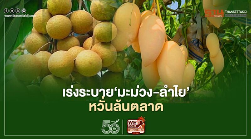 "ลำพูน"เร่งระบาย “มะม่วง-ลำไย” หวั่นล้นตลาด "ลำพูน"เร่งระบาย “มะม่วง-ลำไย” หวั่นล้นตลาด