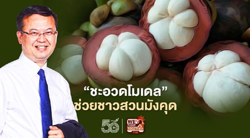 “สอวช.-ม.เกษตร”ขยายผล“ชะอวดโมเดล”ช่วยชาวสวนมังคุด-ปาล์มภาคใต้ “สอวช.-ม.เกษตร”ขยายผล“ชะอวดโมเดล”ช่วยชาวสวนมังคุด-ปาล์มภาคใต้