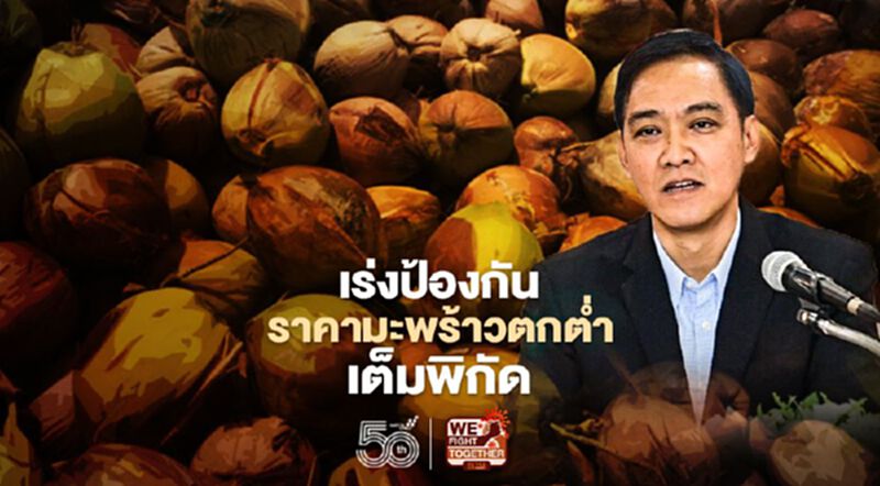 เร่งป้องกันราคามะพร้าวตกต่ำเต็มพิกัด เร่งป้องกันราคามะพร้าวตกต่ำเต็มพิกัด