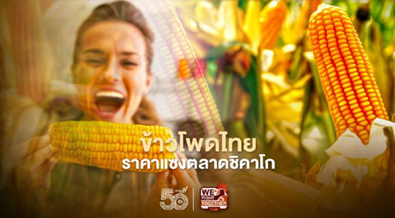 "ข้าวโพดไทย" ราคาแซงตลาดชิคาโก ราคาในประเทศ น่าจะขายได้ 10.05 บาท/กก. "ข้าวโพดไทย" ราคาแซงตลาดชิคาโก ราคาในประเทศ น่าจะขายได้ 10.05 บาท/กก.