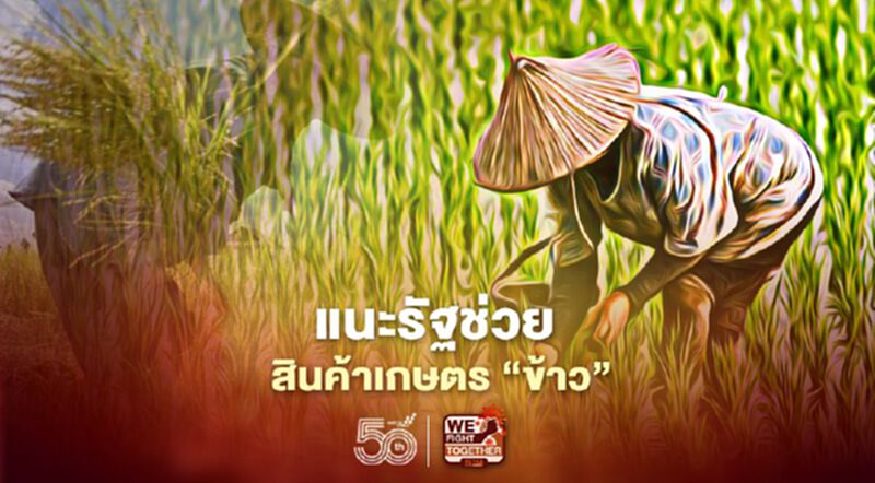 ศูนย์วิจัยกสิกรไทย แนะรัฐช่วยเหลือเฉพาะหน้า สินค้าเกษตร โดยเฉพาะ“ข้าว”เป็นอันดับแรก ประเมินรับแรงกดดัน Double Shock: ทั้งอุปทานที่ผลผลิตมากขึ้นและโควิด-19 ศูนย์วิจัยกสิกรไทย แนะรัฐช่วยเหลือเฉพาะหน้า สินค้าเกษตร โดยเฉพาะ“ข้าว”เป็นอันดับแรก ประเมินรับแรงกดดัน Double Shock: ทั้งอุปทานที่ผลผลิตมากขึ้นและโควิด-19