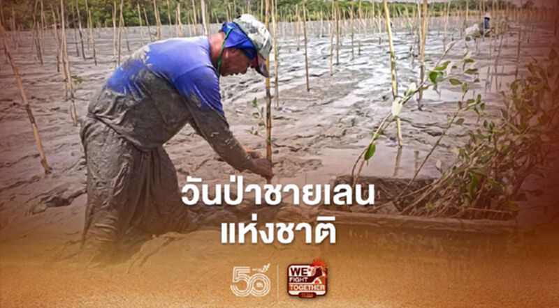 10 พ.ค.วันป่าชายเลนแห่งชาติ ซีพีเอฟร่วมอนุรักษ์และฟื้นฟูป่า 10 พ.ค.วันป่าชายเลนแห่งชาติ ซีพีเอฟร่วมอนุรักษ์และฟื้นฟูป่า
