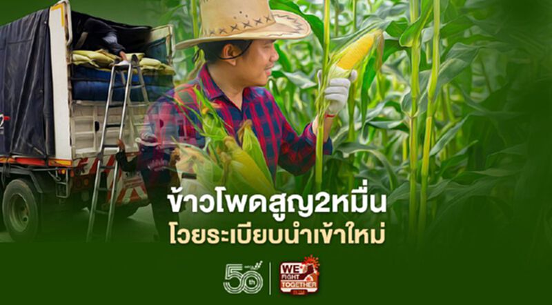 มอดข้าวโพดตัวเดียวสูญ2หมื่น “แม่สอด”โวยระเบียบนำเข้าใหม่ มอดข้าวโพดตัวเดียวสูญ2หมื่น “แม่สอด”โวยระเบียบนำเข้าใหม่