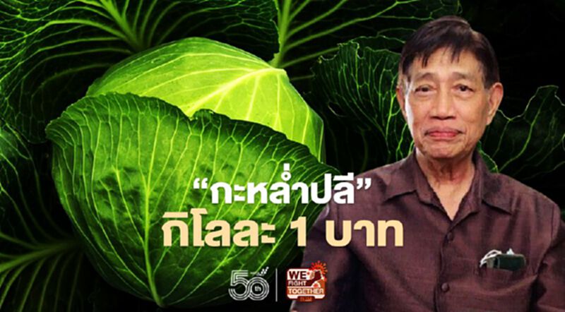 “กะหล่ำปลี” กิโลละ 1 บาท “กะหล่ำปลี” กิโลละ 1 บาท