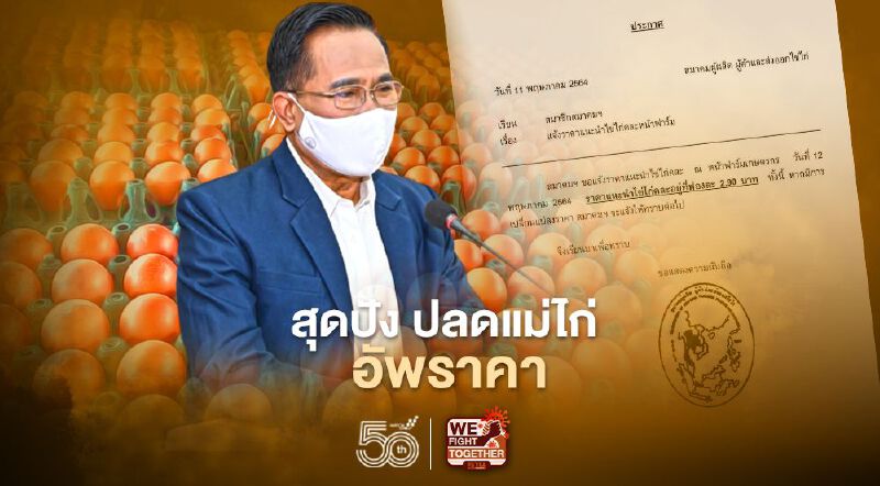 สุดปัง “ปลดแม่ไก่” อัพราคา