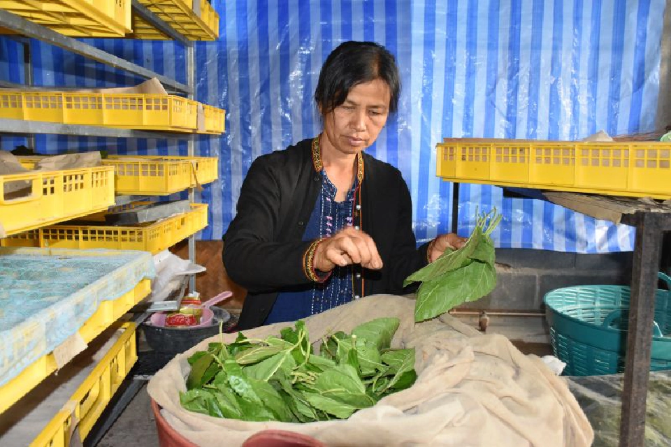 จงรักษ์  พลายงาม