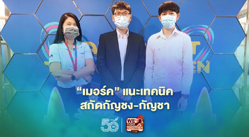 “เมอร์ค” แนะเทคนิคสกัดกัญชง-กัญชา “เมอร์ค” แนะเทคนิคสกัดกัญชง-กัญชา
