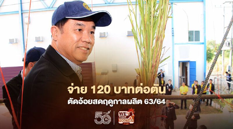 ชาวไร่อ้อยตัดอ้อยสดรับเบ็ดเสร็จไม่ต่ำกว่า 1,100 บาทต่อตันฤดูผลิต 63/64