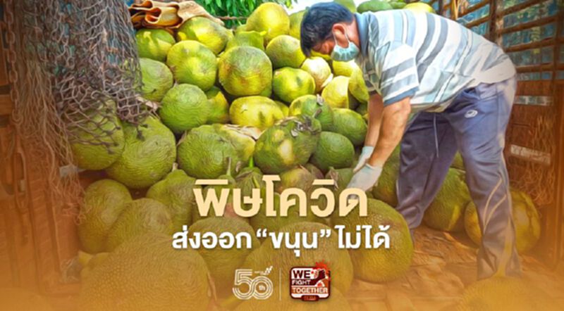 เร่งช่วยเกษตรกร หลังพิษโควิด ส่งออกขนุนไม่ได้ เร่งช่วยเกษตรกร หลังพิษโควิด ส่งออกขนุนไม่ได้