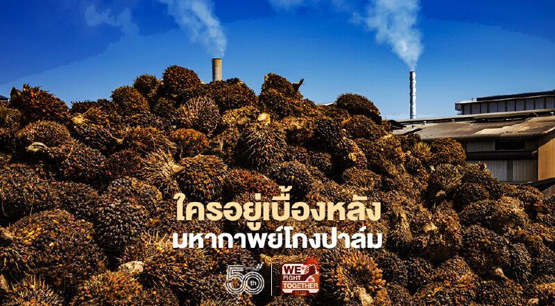 เปิดความจริง ใครอยู่เบื้องหลัง มหากาพย์โกงปาล์ม