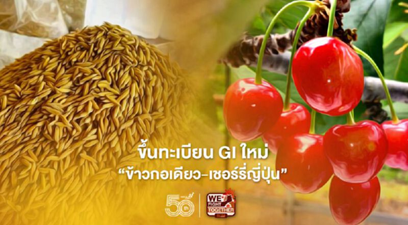 ขึ้นทะเบียน GI ใหม่ “ข้าวกอเดียว- เชอร์รี่ญี่ปุ่น” ขึ้นทะเบียน GI ใหม่ “ข้าวกอเดียว- เชอร์รี่ญี่ปุ่น”