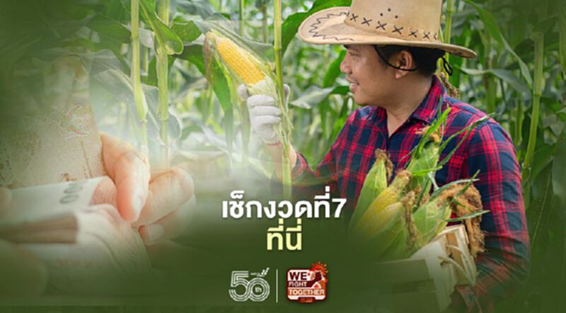 ตรวจสอบเงินประกันรายได้เกษตรกร จ่ายส่วนต่าง "ประกันราคาข้าวโพด" งวด7 ตรวจสอบเงินประกันรายได้เกษตรกร จ่ายส่วนต่าง "ประกันราคาข้าวโพด" งวด7