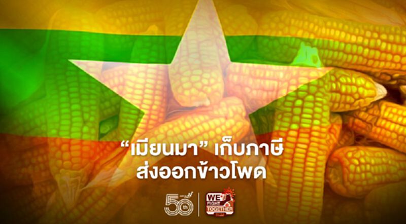 “เมียนมา” เก็บภาษีส่งออกข้าวโพด “เมียนมา” เก็บภาษีส่งออกข้าวโพด
