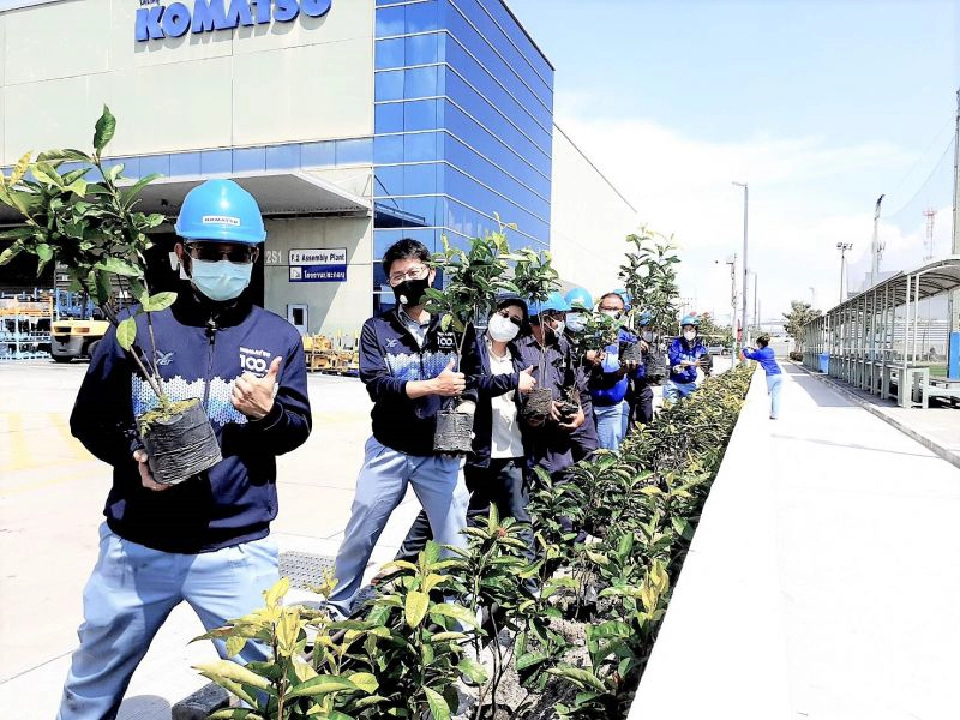 100 ปีโคมัตสุ เพิ่มพื้นที่สีเขียว