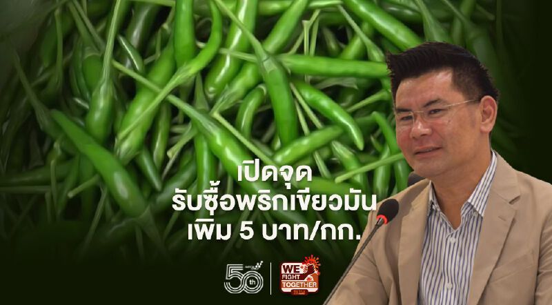 “พาณิชย์” เปิดจุดรับซื้อพริกเขียวมัน 5 บาท/กก. แก้ราคาตก “พาณิชย์” เปิดจุดรับซื้อพริกเขียวมัน 5 บาท/กก. แก้ราคาตก