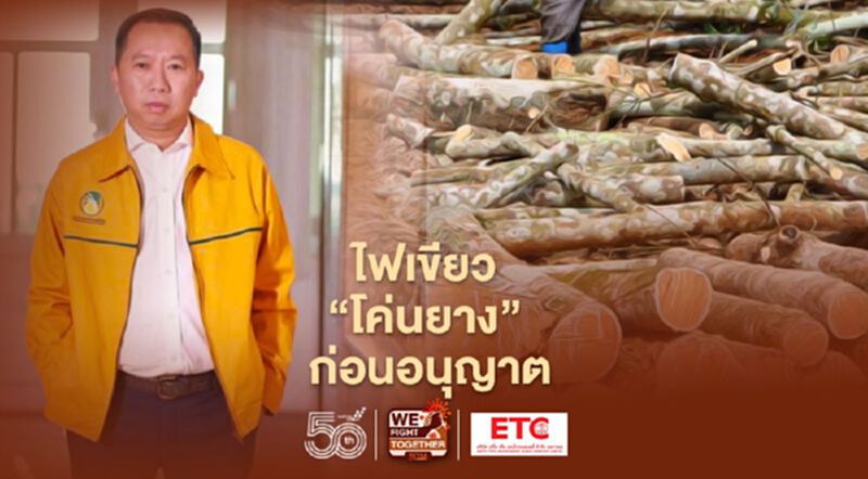 ไฟเขียว "โค่นยาง" ก่อนอนุญาต ไฟเขียว "โค่นยาง" ก่อนอนุญาต