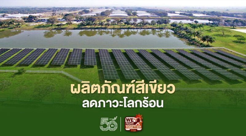ผลิตภัณฑ์สีเขียว ลดภาวะโลกร้อน ผลิตภัณฑ์สีเขียว ลดภาวะโลกร้อน