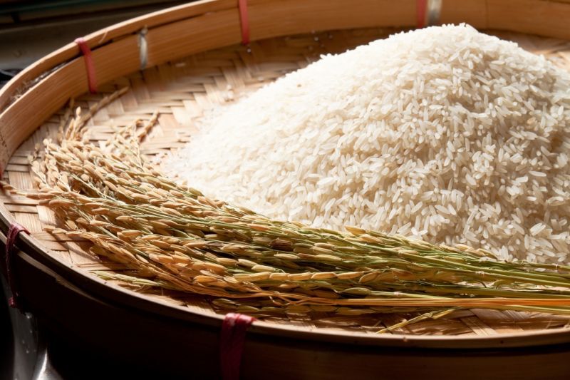 พาณิชย์ถกผู้นำเข้าฟิลิปปินส์  ดันส่งออกข้าวครึ่งปีหลัง