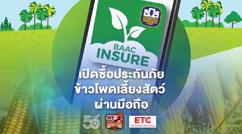 ธ.ก.ส. เปิดซื้อประกันภัยข้าวโพดเลี้ยงสัตว์ปี64 ผ่านมือถือ ธ.ก.ส. เปิดซื้อประกันภัยข้าวโพดเลี้ยงสัตว์ปี64 ผ่านมือถือ