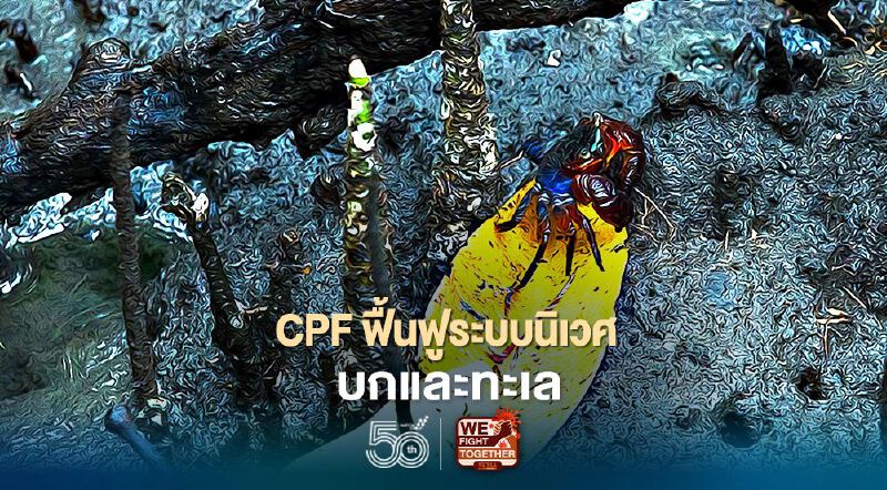 CPF ฟื้นฟูระบบนิเวศบกและทะเล คืนความหลากหลายสู่ธรรมชาติ