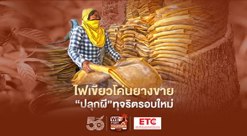 จับตา กยท.ไฟเขียว โค่นยางขาย ก่อนได้อนุมัติ “ปลุกผี”ทุจริตรอบใหม่ จับตา กยท.ไฟเขียว โค่นยางขาย ก่อนได้อนุมัติ “ปลุกผี”ทุจริตรอบใหม่