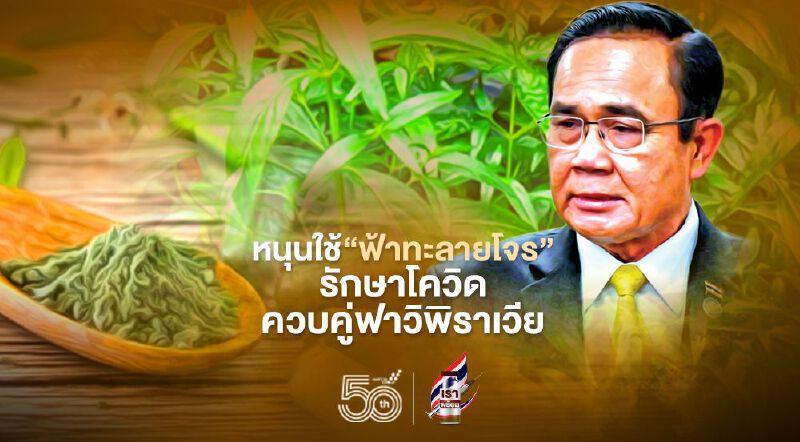 นายกฯหนุนใช้“ฟ้าทะลายโจร” รักษาโควิดควบคู่ฟาวิพิราเวีย