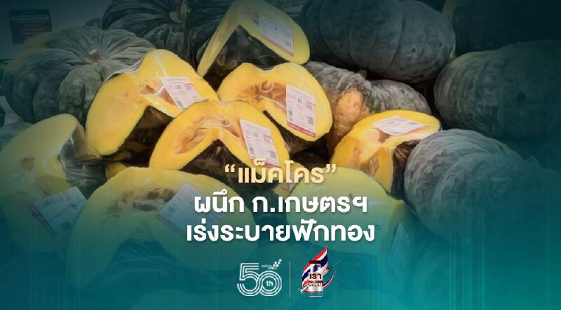 “แม็คโคร”ผนึกกระทรวงเกษตรฯ เร่งระบายฟักทอง