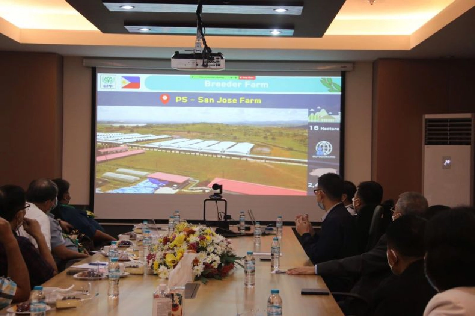 ซีพีเอฟผนึกฟิลิปปินส์ลุยฟื้นฟูอุตสาหกรรมสุกร