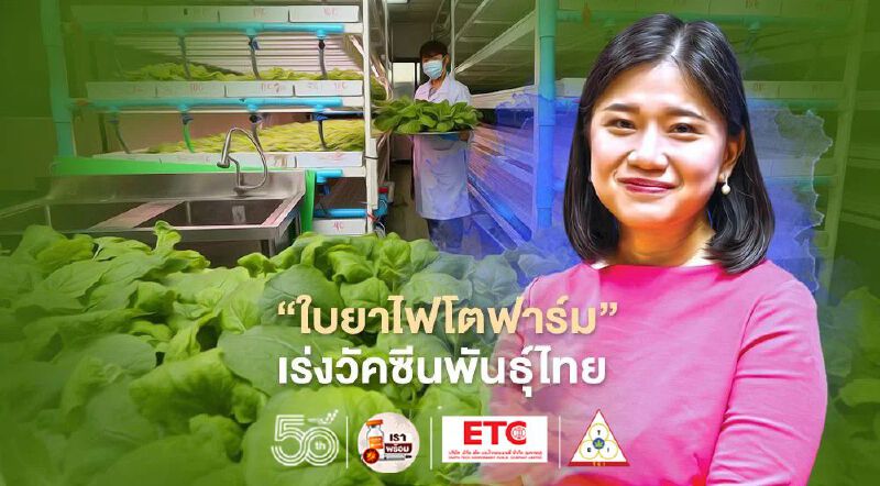  “ใบยาไฟโตฟาร์ม”  เร่งวัคซีนพันธุ์ไทย  ไม่เกิน 500บาทต่อโดส ถูกกว่าของนอก