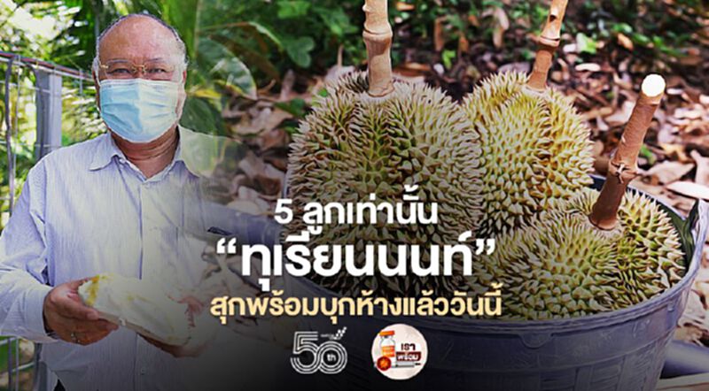 5 ลูกเท่านั้น “ทุเรียนนนท์” สุกพร้อมบุกห้างแล้ววันนี้ 5 ลูกเท่านั้น “ทุเรียนนนท์” สุกพร้อมบุกห้างแล้ววันนี้