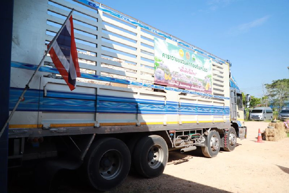 เดินหน้าดันราคาพริก-ฟักทอง  ช่วยชาวสวนผักส่งออก