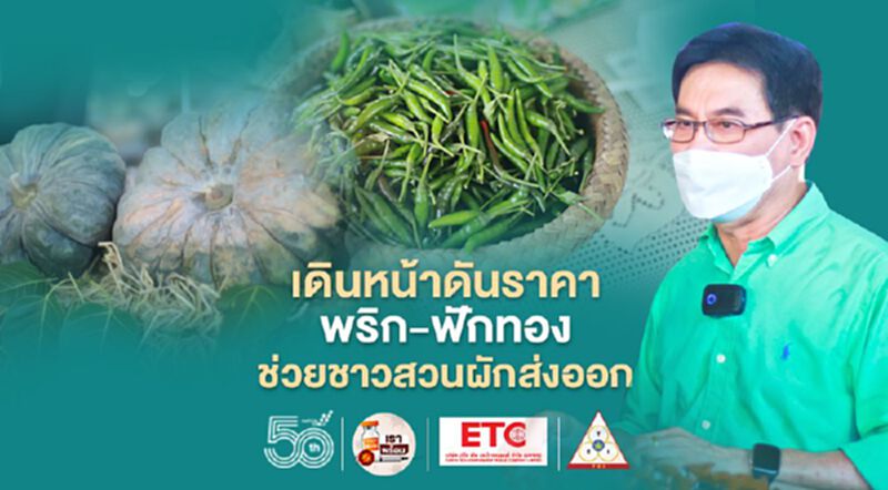 เดินหน้าดันราคาพริก-ฟักทอง ช่วยชาวสวนผักส่งออก เดินหน้าดันราคาพริก-ฟักทอง ช่วยชาวสวนผักส่งออก