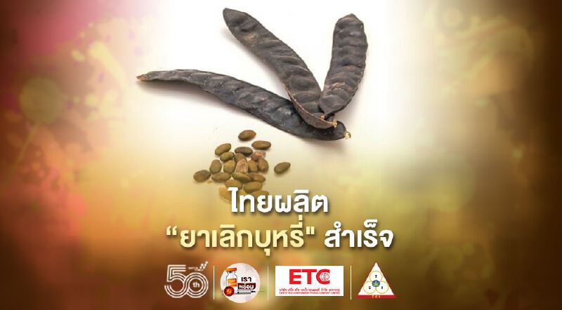 ฉลอง"วันงดสูบบุหรี่โลก"ไทยผลิต"ยาเลิกบุหรี่" จากเมล็ดจามจุรีสีทองสำเร็จ