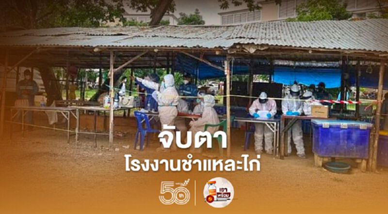 จับตาโรงงานชำแหละไก่ พบติดเชื้อโควิดแล้ว 3 จังหวัด จับตาโรงงานชำแหละไก่ พบติดเชื้อโควิดแล้ว 3 จังหวัด