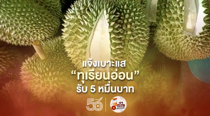 แจ้งเบาะแส “ทุเรียนอ่อน” รับ 5 หมื่นบาท แจ้งเบาะแส “ทุเรียนอ่อน” รับ 5 หมื่นบาท