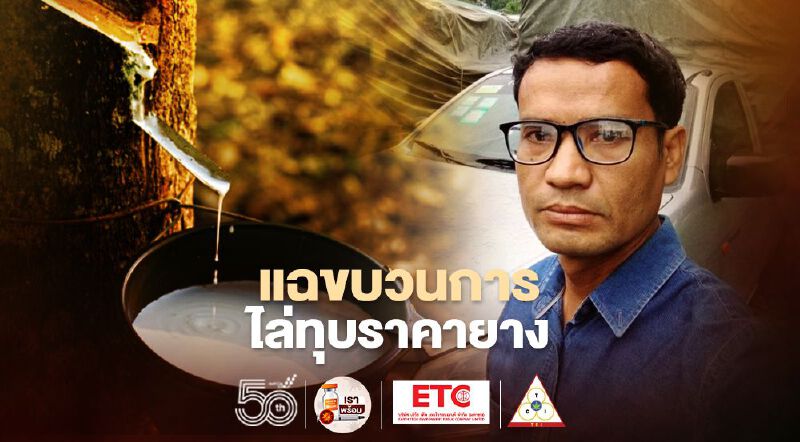 แฉขบวนการไล่ทุบราคายาง