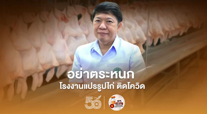 โรงงานแปรรูปไก่ ติดโควิด กรมอนามัย ย้ำ กินไก่ได้ - ต้องปรุงสุก 