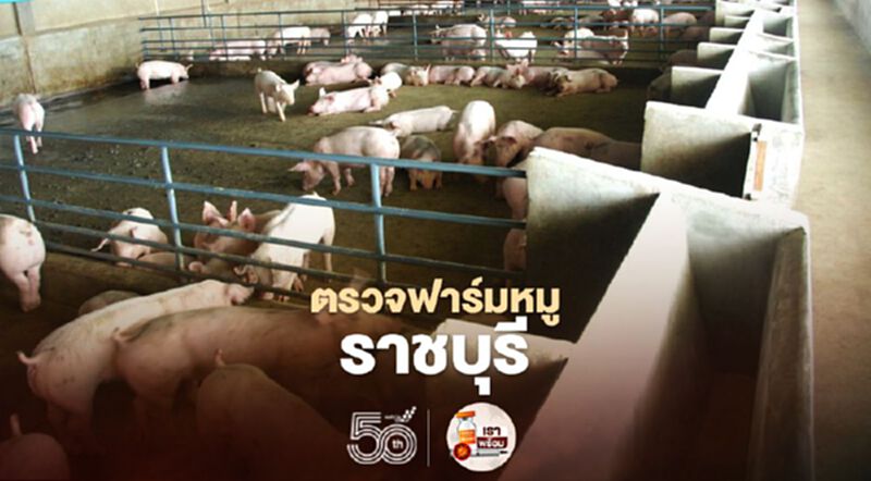 คพ. รุกตรวจฟาร์มหมูราชบุรี คพ. รุกตรวจฟาร์มหมูราชบุรี