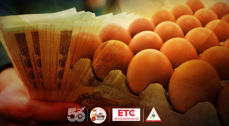 “พาณิชย์” สั่งชะลอเงินอุดหนุนส่งออกไข่ไก่
