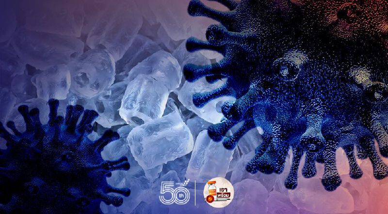 สกัดโควิด! ชลบุรีสั่งปิด"โรงน้ำแข็งสุขสวัสดิ์พันเสด็จ"