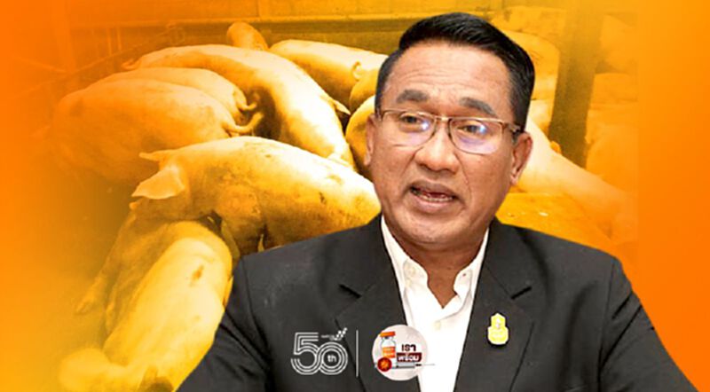 เปิดแผนล่า แก๊งลักลอบขนหมูเถื่อน เปิดแผนล่า แก๊งลักลอบขนหมูเถื่อน
