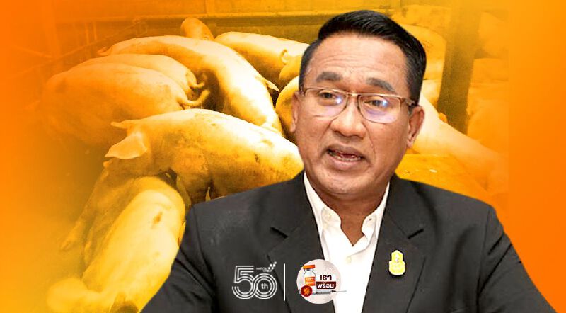 เปิดแผนล่า แก๊งลักลอบขนหมูเถื่อน