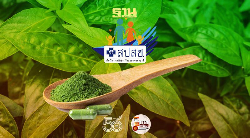 บอร์ดสปสช.ไฟเขียวเบิกจ่าย“ฟ้าทะลายโจร”รักษาผู้ป่วยโควิด-19 อาการน้อย