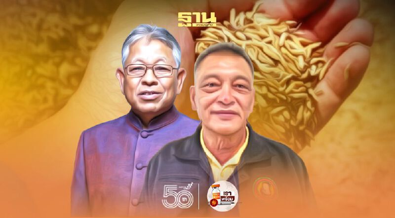 ดิ้นหนีตาย แก้วิกฤติ “ข้าว” นัด 14 มิ.ย.