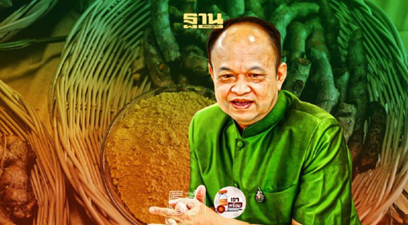 ตลาดสมุนไพรไทยบูม หนุนเกษตรกรปลูก ตลาดสมุนไพรไทยบูม หนุนเกษตรกรปลูก
