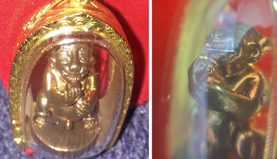 แมงสี่หูห้าตา