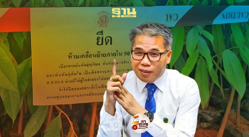 รวบแก๊ง ยึดพืชสงวนไทย กว่า แสนบาท ลักลอบ ขายเพื่อนบ้าน